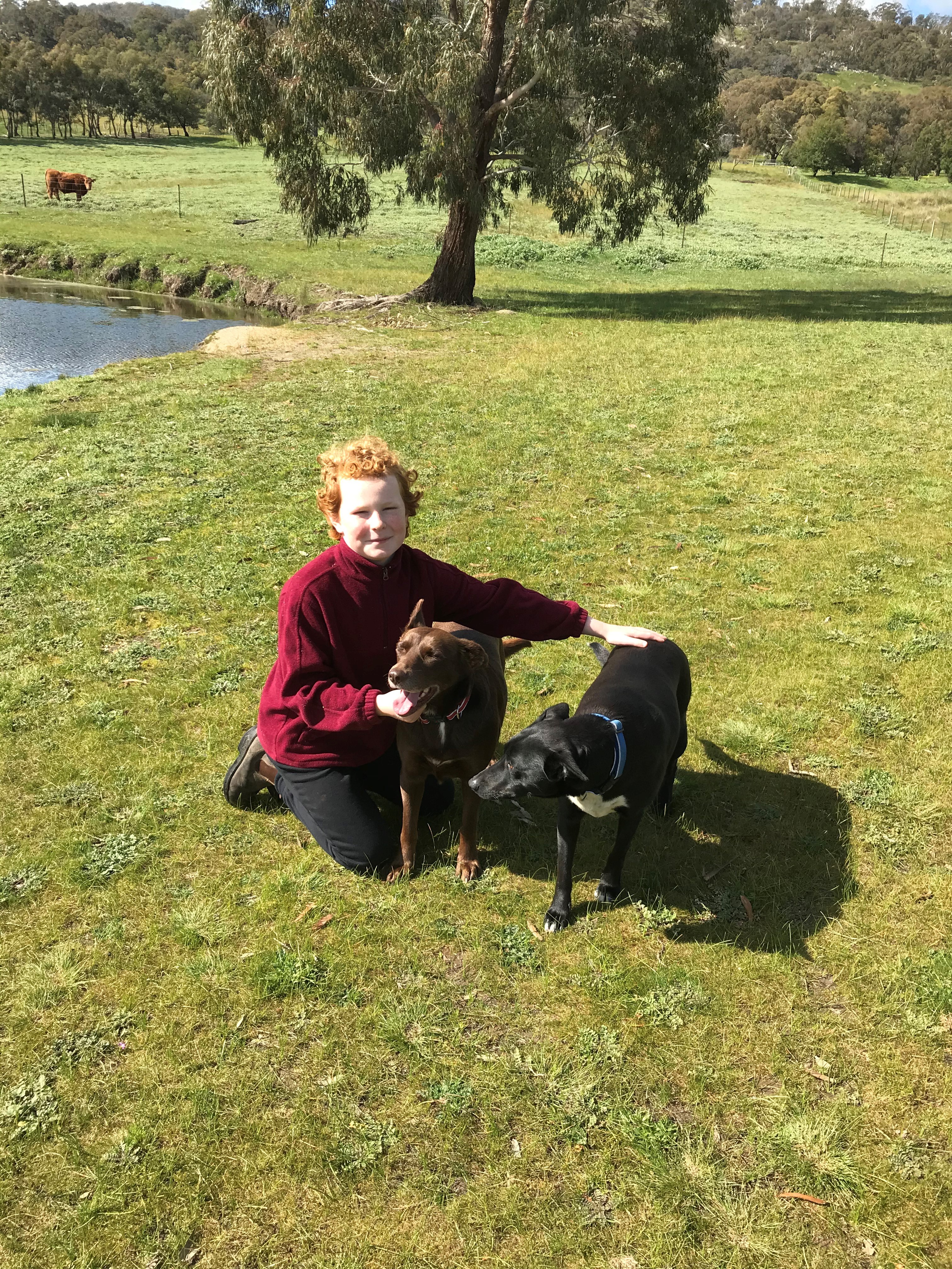 /uploaded_files/media/gallery/1599433810Archer and dogs.jpg